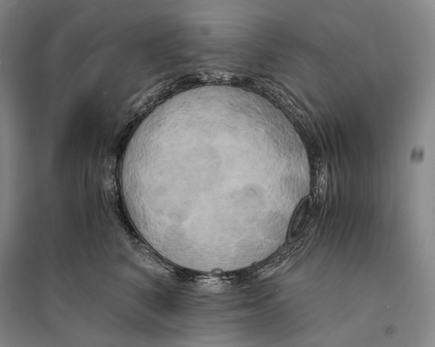 X0000095520616200801111437