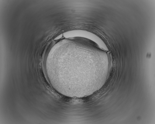 X0000095520617200801111437