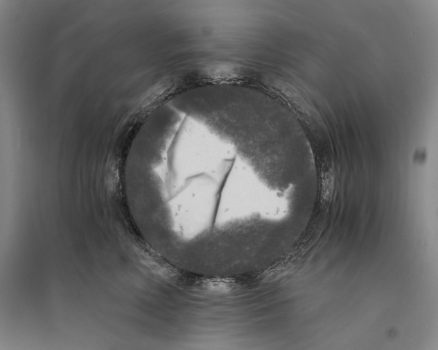 X0000095520618200801111437