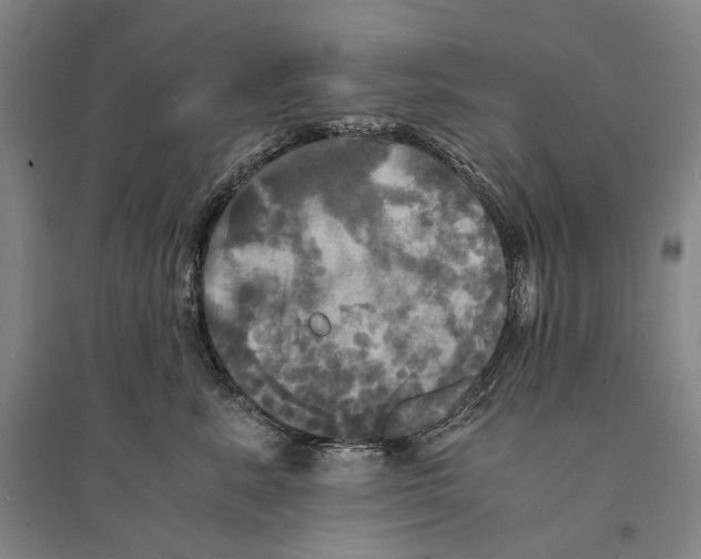 X0000095520619200801111437