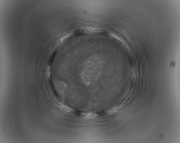 X0000095520621200801111437