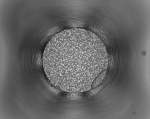 X0000095520622200801111437