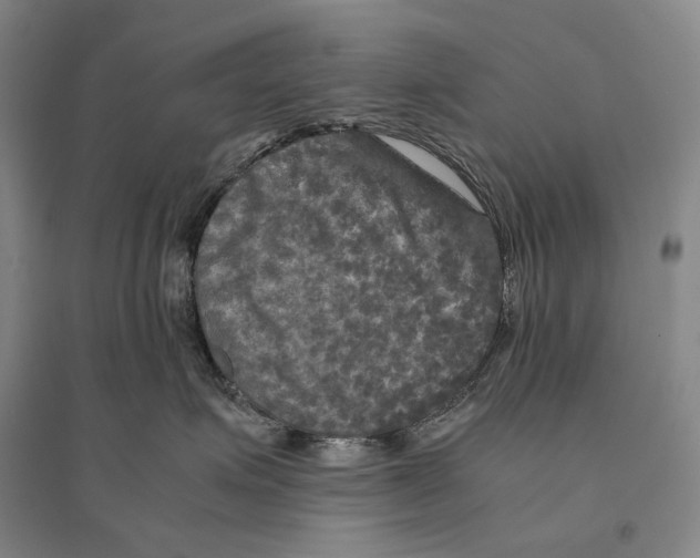 X0000095520623200801111437