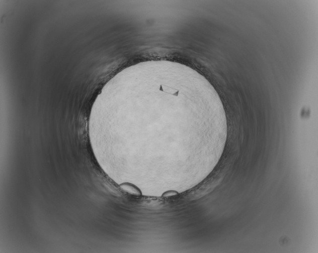 X0000095520624200801111437