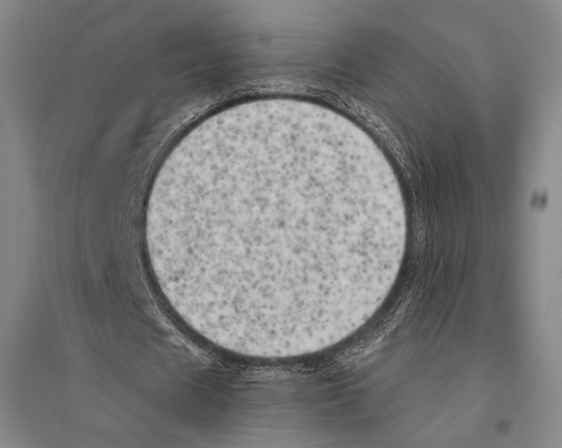 X0000095520625200801111437