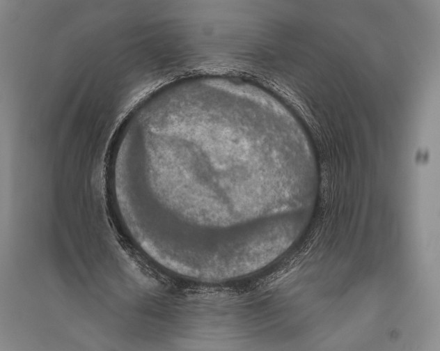 X0000095520626200801111437