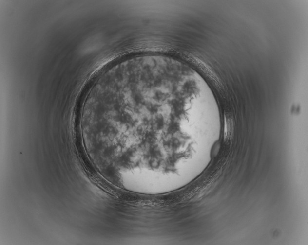 X0000095520627200801111437