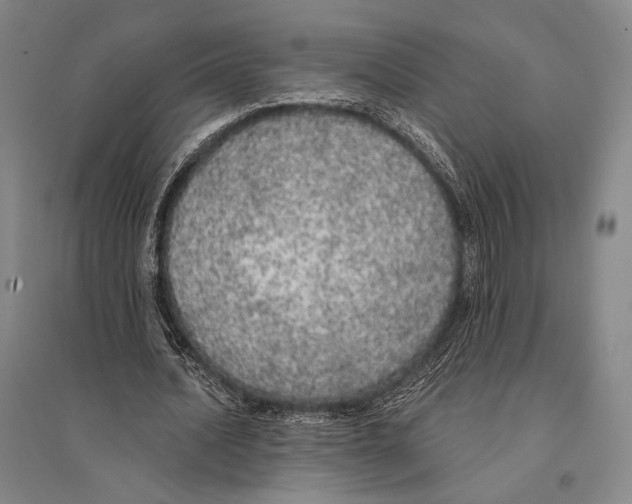 X0000095520628200801111437