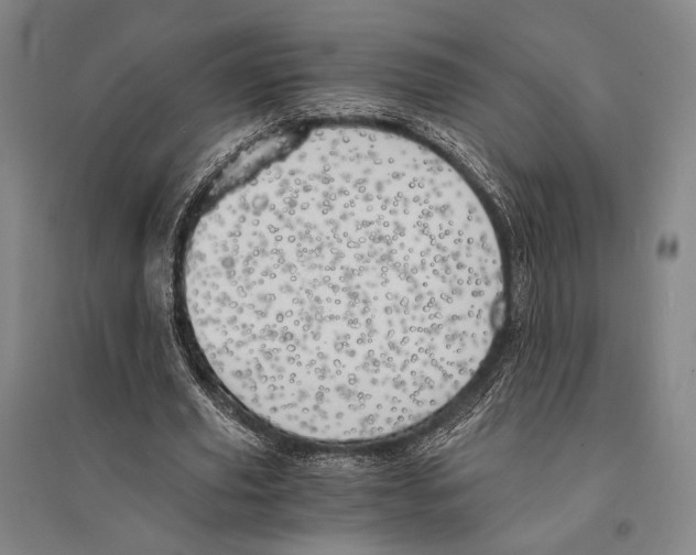 X0000095520629200801111437