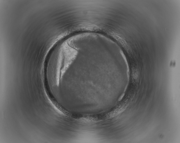 X0000095520630200801111437