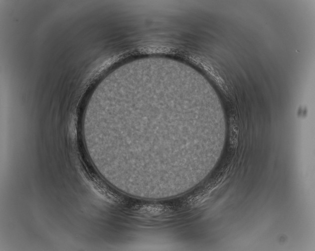 X0000095520631200801111437