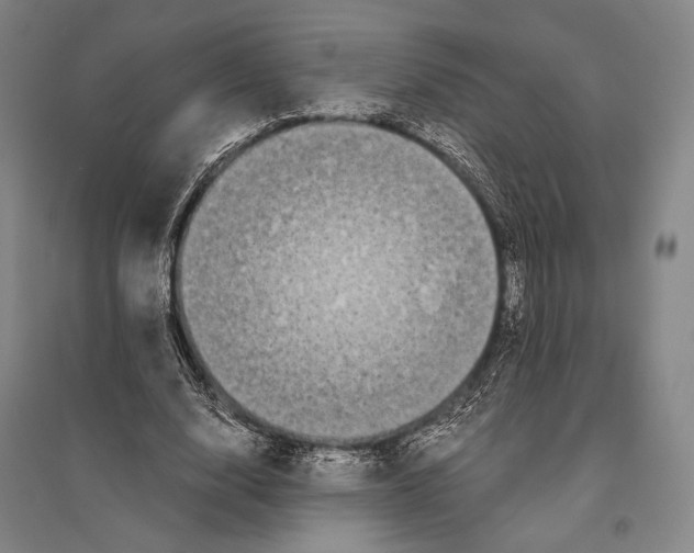 X0000095520632200801111437