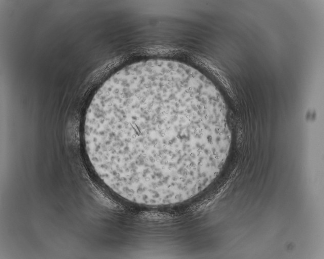 X0000095520633200801111437