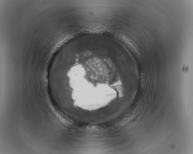 X0000095520634200801111437