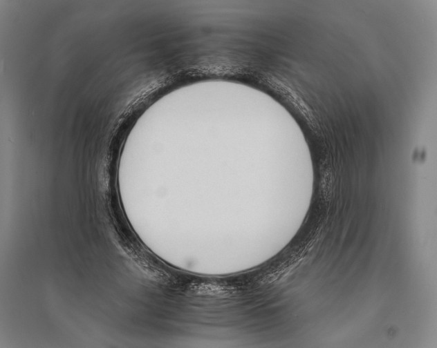 X0000095520635200801111437