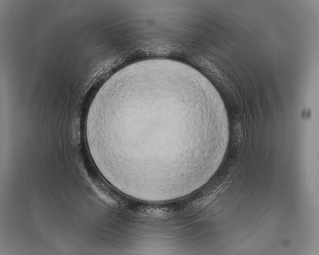 X0000095520638200801111437