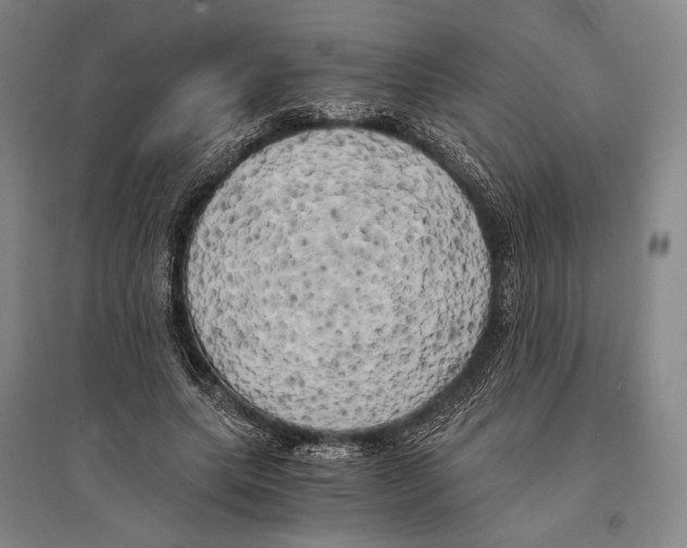 X0000095520639200801111437