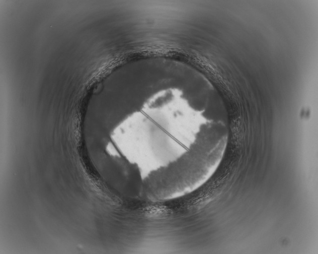 X0000095520642200801111437