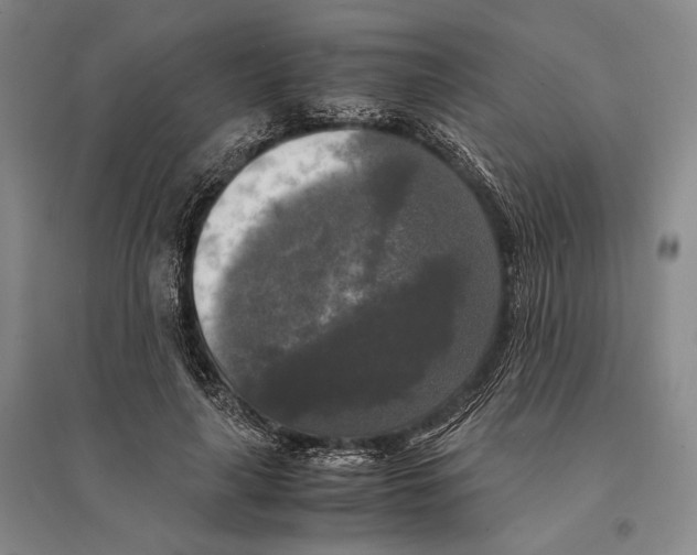 X0000095520643200801111437