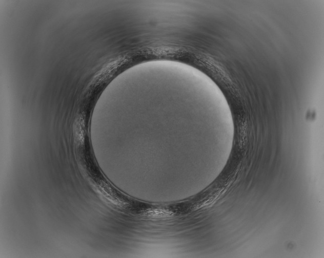 X0000095520644200801111437