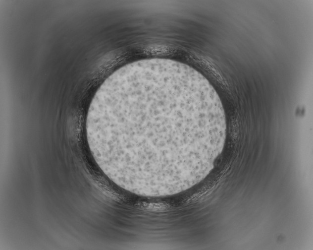 X0000095520645200801111437