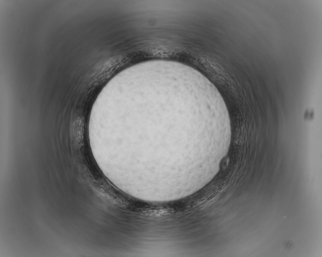 X0000095520646200801111437