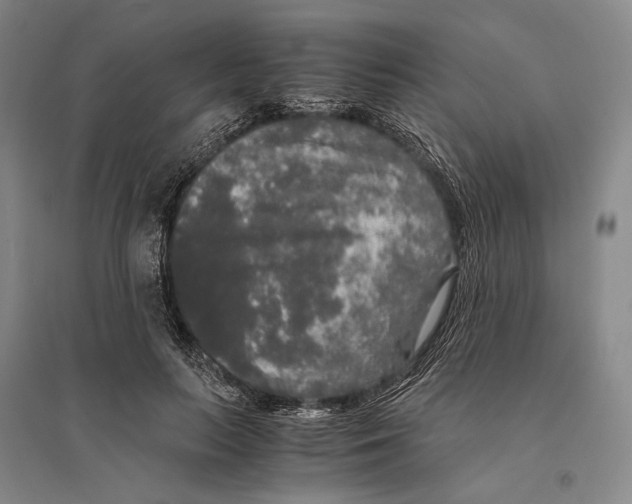 X0000095520647200801111437