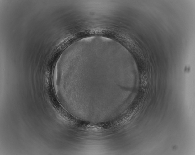 X0000095520648200801111437