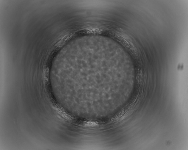 X0000095520649200801111437