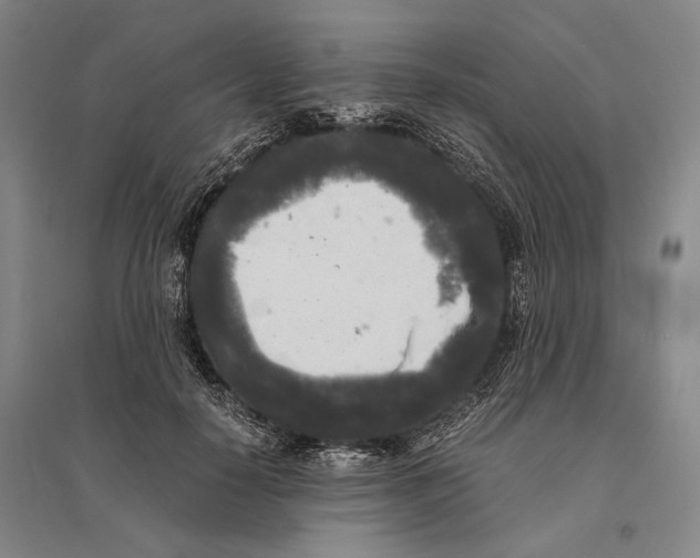 X0000095520650200801111437