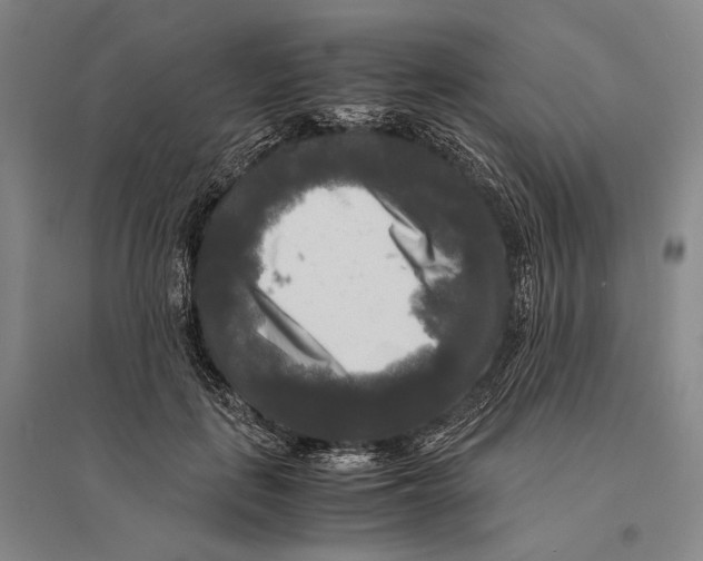X0000095520651200801111437