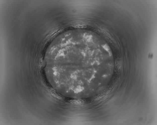 X0000095520652200801111437