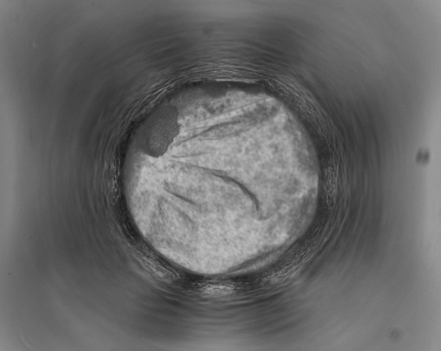 X0000095520653200801111437