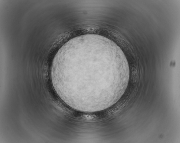 X0000095520654200801111437