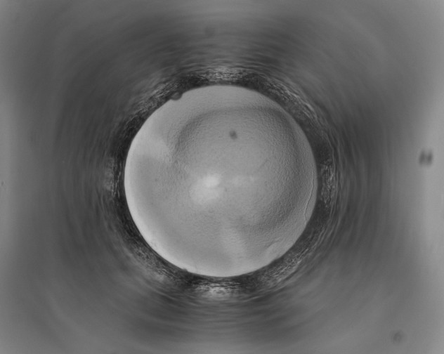 X0000095520655200801111437