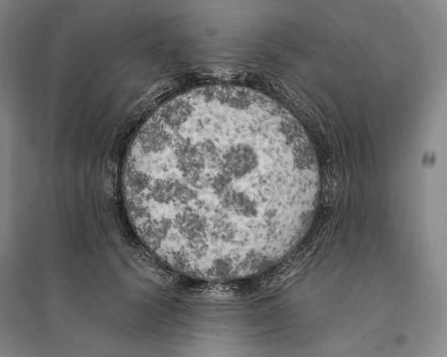 X0000095520656200801111437