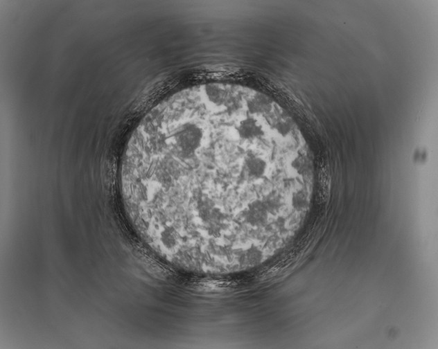 X0000095520657200801111437