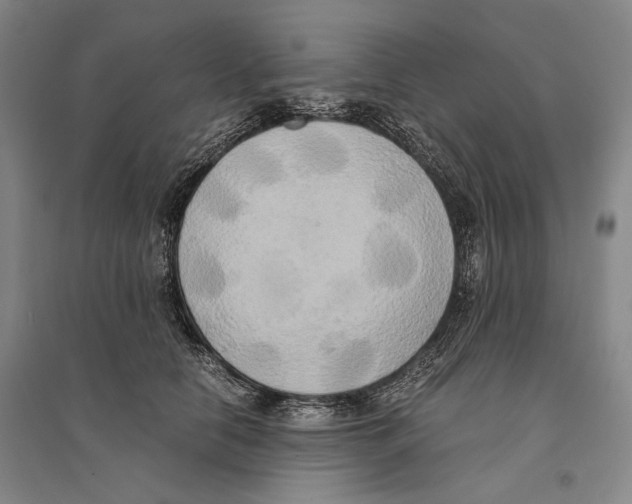 X0000095520658200801111437