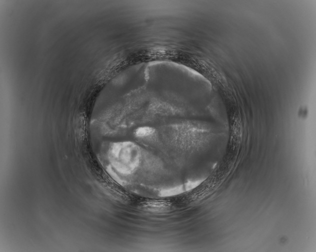 X0000095520659200801111437