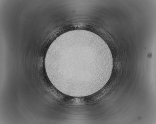 X0000095520660200801111437