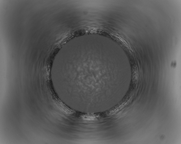 X0000095520661200801111437