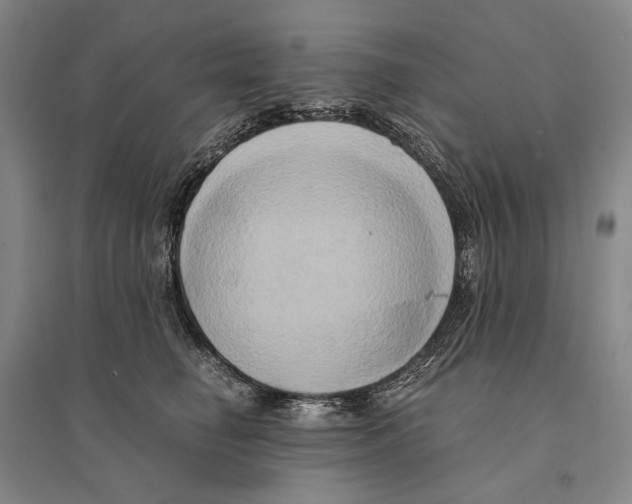 X0000095520662200801111437