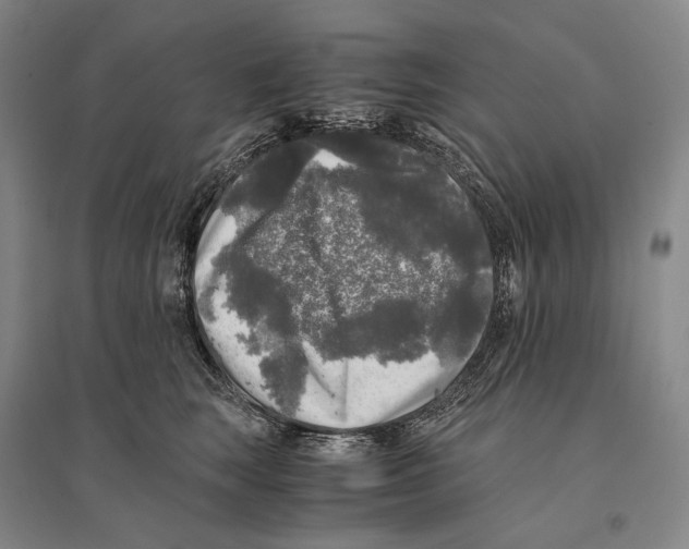 X0000095520663200801111437