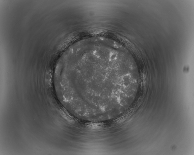 X0000095520664200801111437