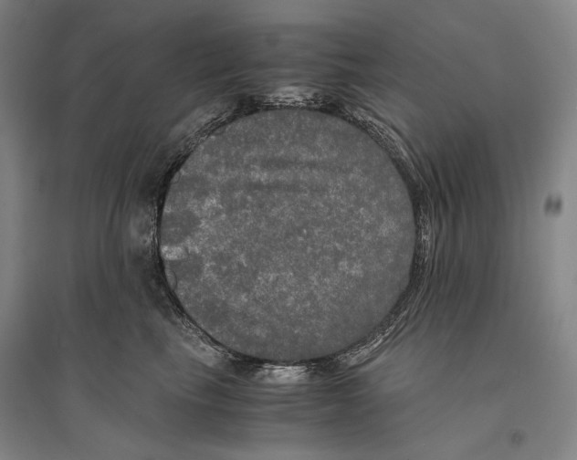 X0000095520665200801111437