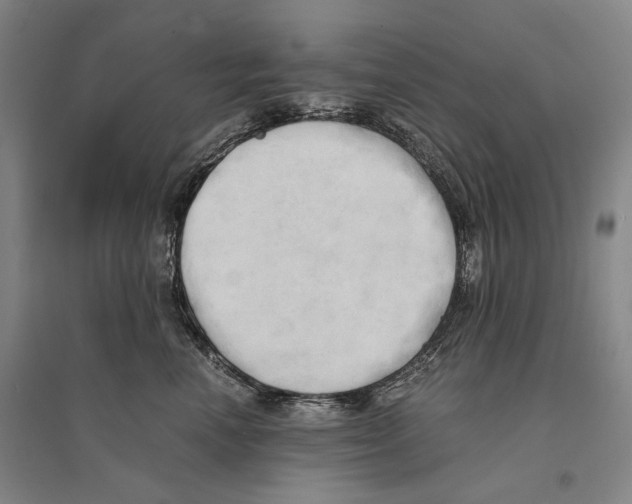 X0000095520666200801111437