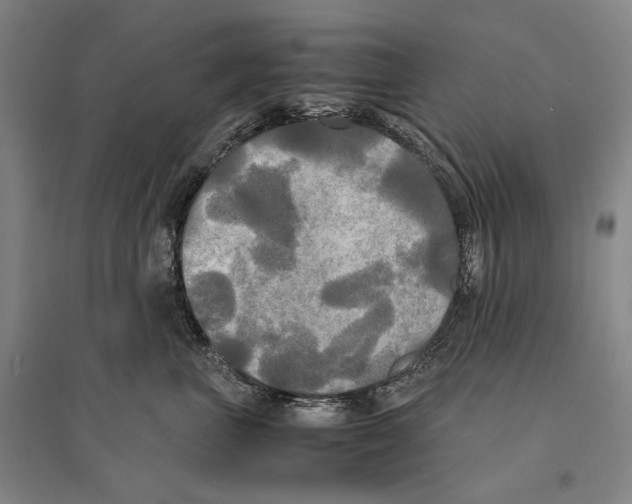 X0000095520667200801111437