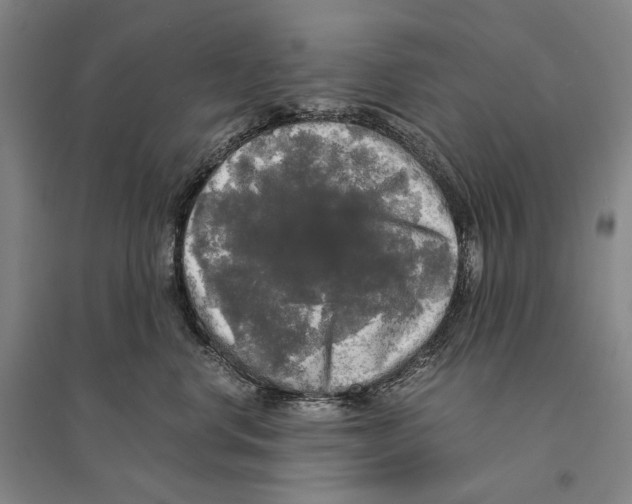 X0000095520668200801111437