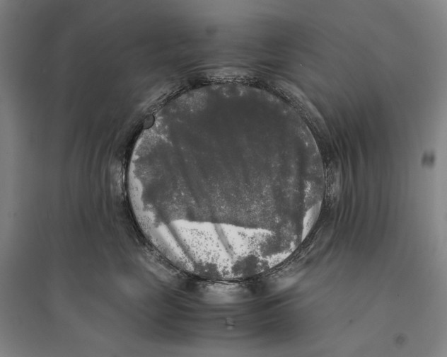 X0000095520669200801111437