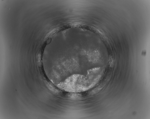 X0000095520670200801111437